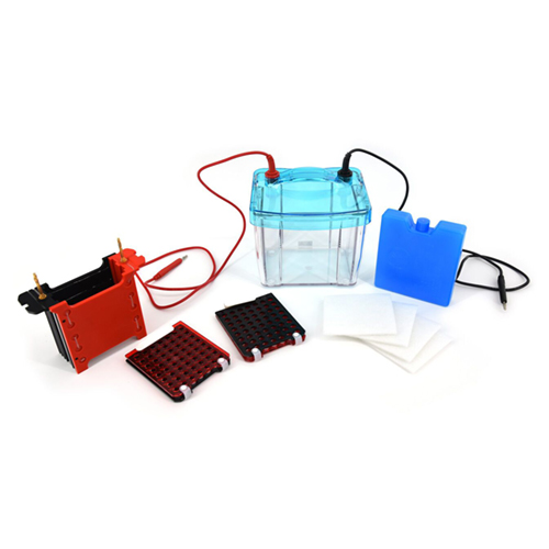 北京六一DYCZ-40G型轉印電泳儀電泳槽 高透明度聚碳酸酯注塑成型