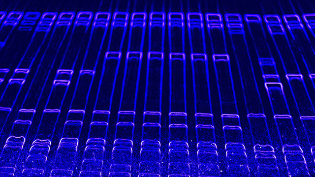 2016產品資源指南：電泳